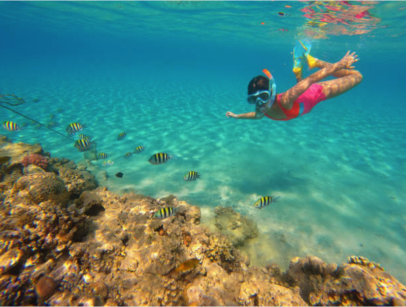 Snorkeling above a vibrant reef