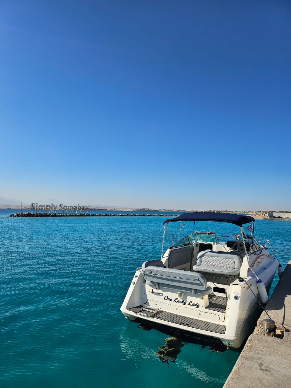 Snorkeling above a vibrant reef